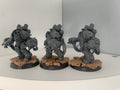 Primaris Aggressors W/Space Wolf Shoulder Pads
