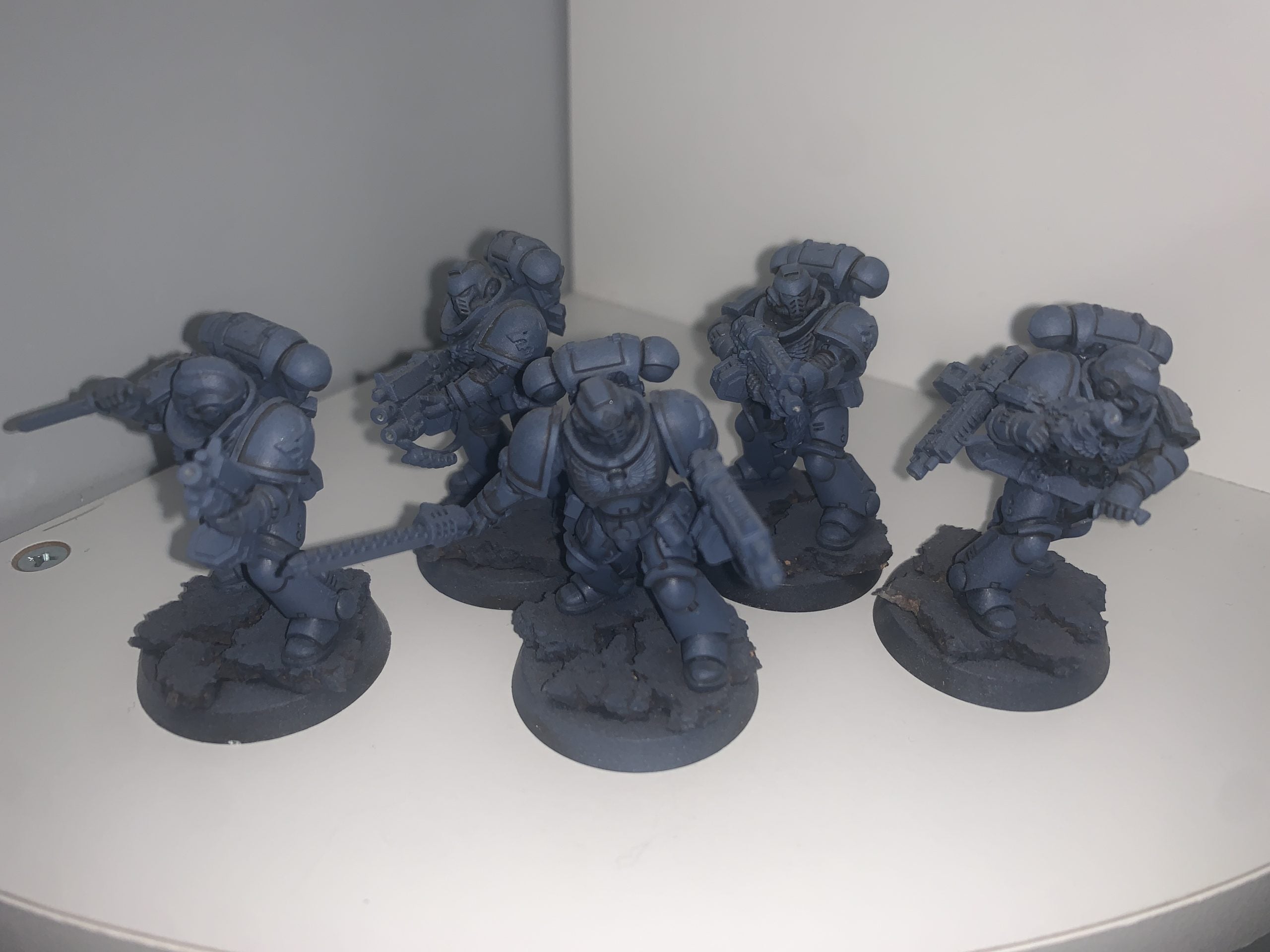 Primaris Intercessors with Space Wolf Pads
