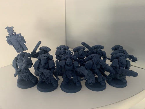 1st Born Space Wolves Tactical Squad