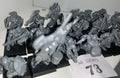 19 Chaos Marauders, built on square bases