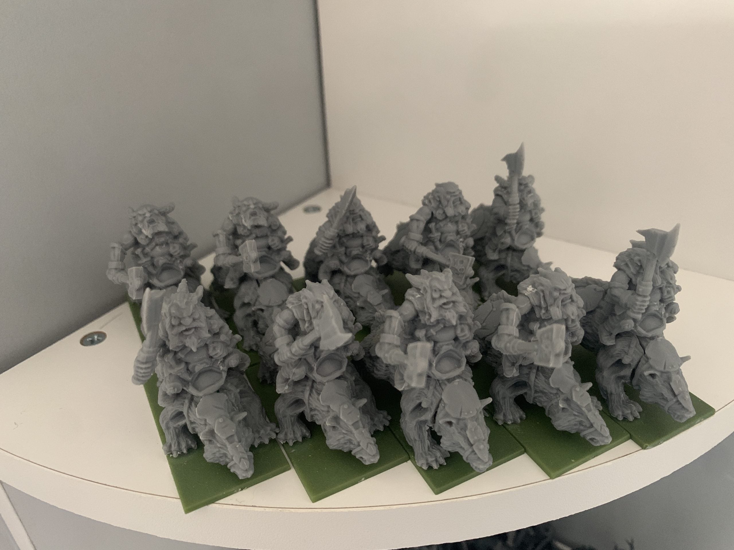 20 Dwarf Brock Riders Regiment