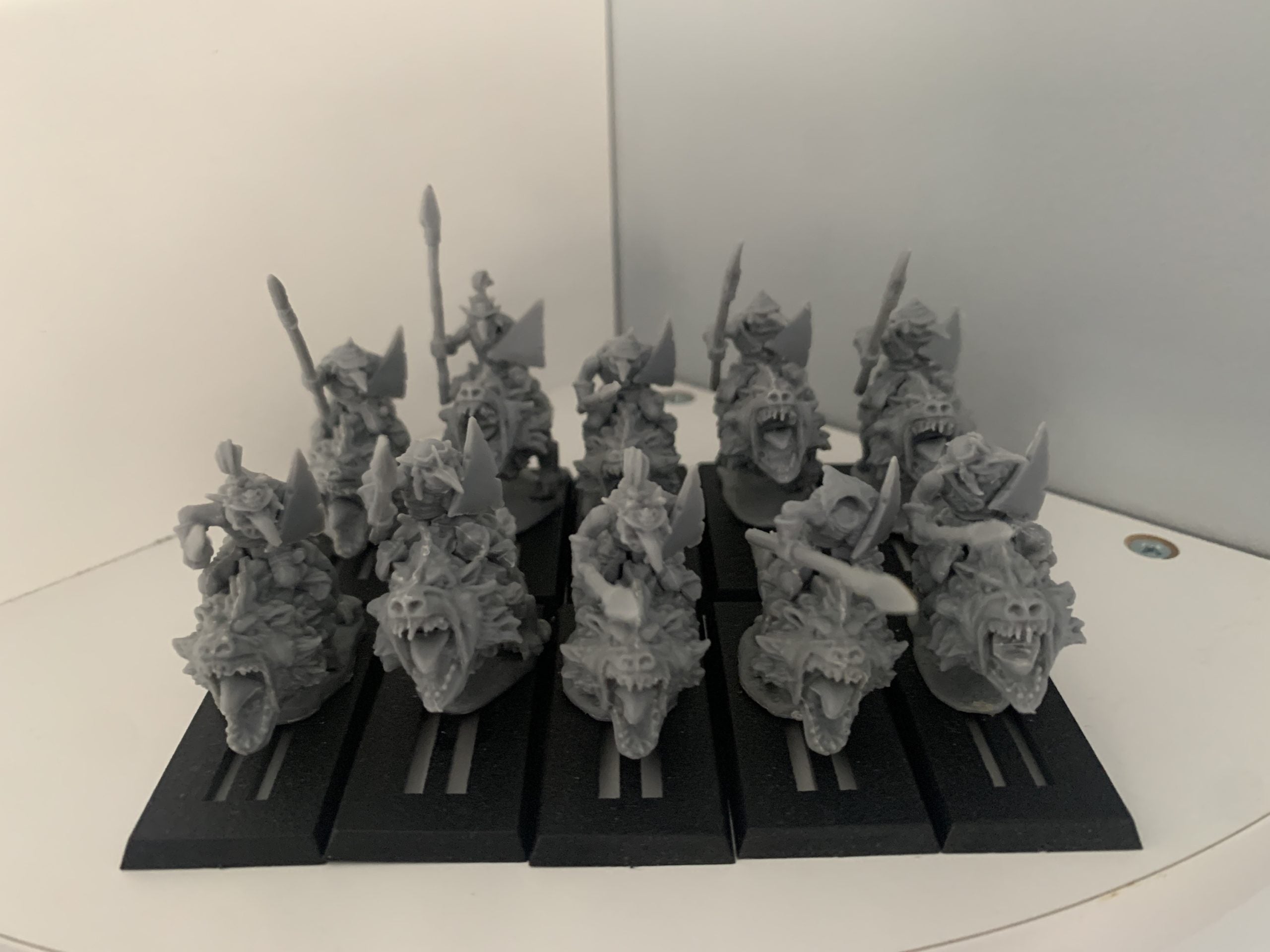 Goblin Fleabag Rider Regiment