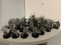 24 x Cadian Guardsmen