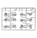 Warriors of Minas Tirith (on Sprue)