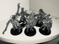 5 x Mymidesh Painbringers