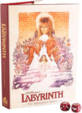 labyrinth the adventure game