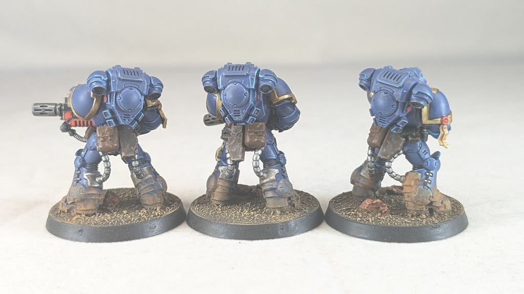 Primaris Eradicators (Pro-Painted)