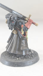 Judiciar (Pro-Painted)