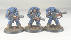 Primaris Eradicators (Pro-Painted)