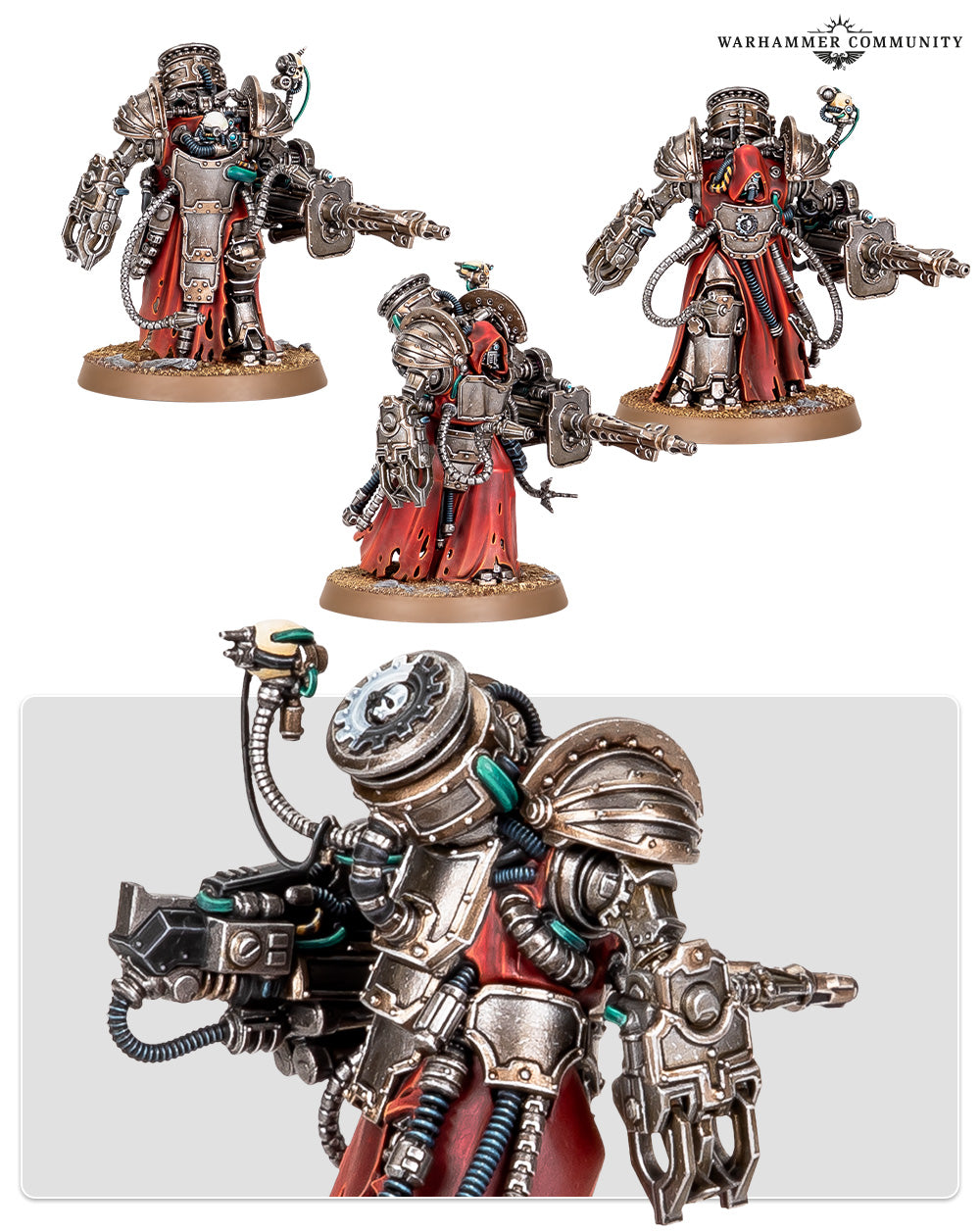 myrmidon destructor host